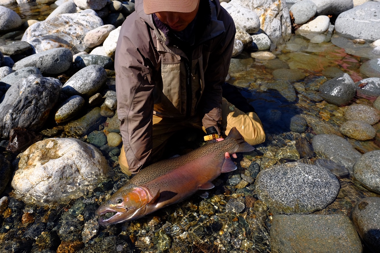 岐阜県のO様からの釣果報告